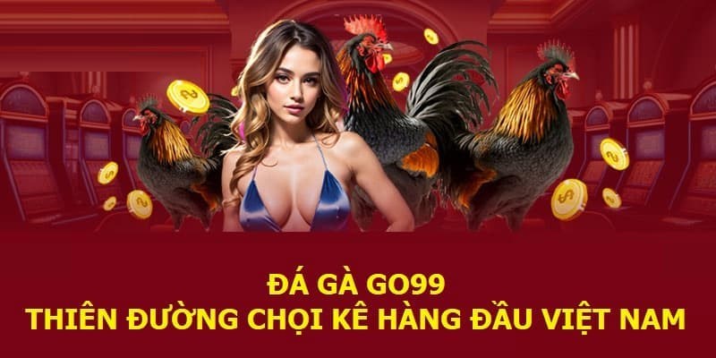 Sảnh đá gà trực tiếp các trận đấu kê vô cùng kịch tính